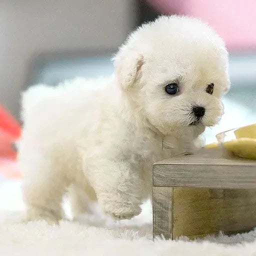 Interactive Plush Dog with Realistic Movements – Perfect for Children & Seniors