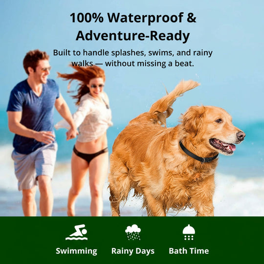 1000m Waterproof Dog Training Collar | Rechargeable, Remote Control & Adjustable for Small, Medium, and Large Dogs