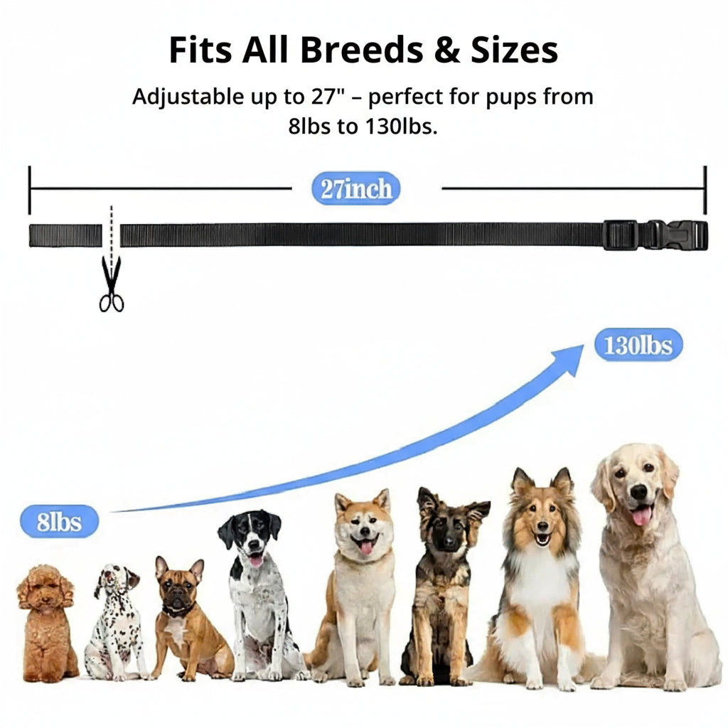 1000m Waterproof Dog Training Collar | Rechargeable, Remote Control & Adjustable for Small, Medium, and Large Dogs