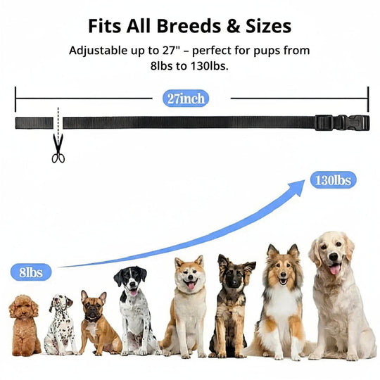 1000m Waterproof Dog Training Collar | Rechargeable, Remote Control & Adjustable for Small, Medium, and Large Dogs