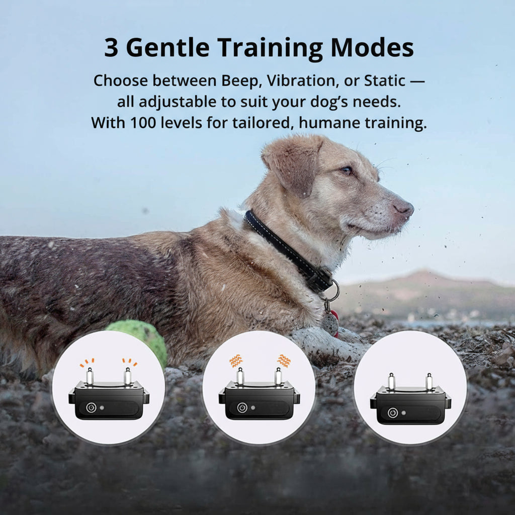 1000m Waterproof Dog Training Collar | Rechargeable, Remote Control & Adjustable for Small, Medium, and Large Dogs