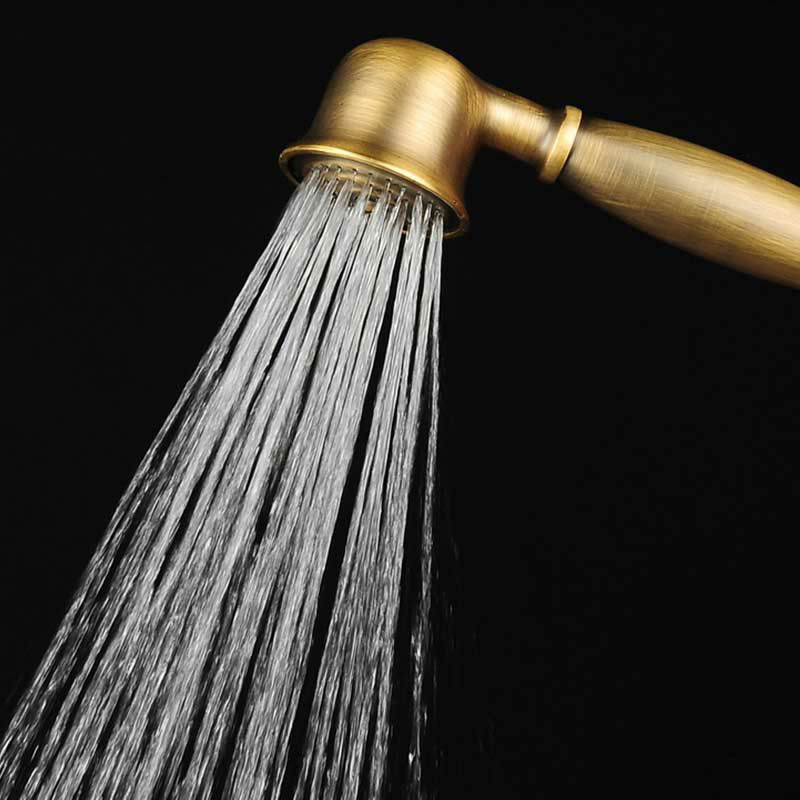 Traditional Handheld Shower Head with Hose - Polished Brass Wall Mounted Design
