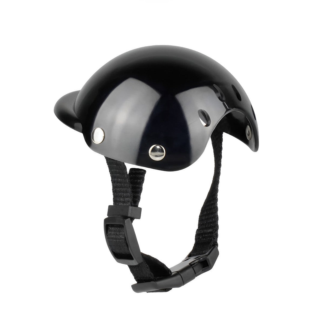 Trendy and Safe Motorcycle Helmet and Goggles for Dogs