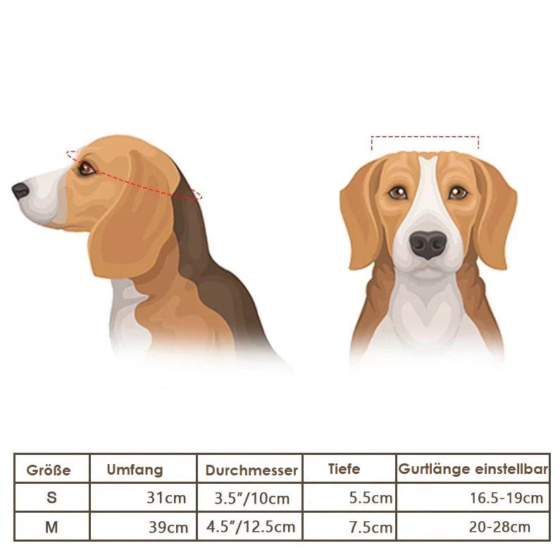 Trendy and Safe Motorcycle Helmet and Goggles for Dogs