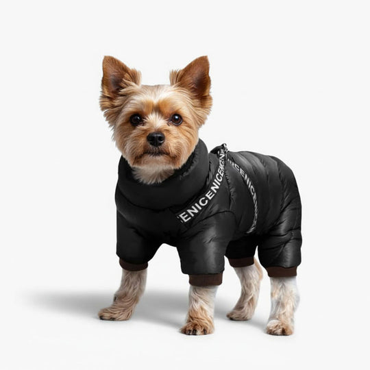 Dog Winter Coat - Insulated Jacket - Cold Weather Protection