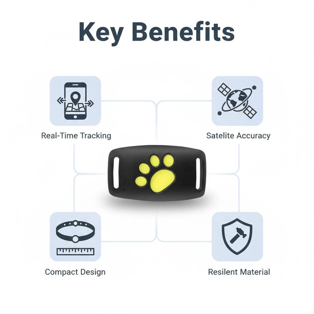 GPS Cat Collar - Real-Time Tracking - Satellite Technology