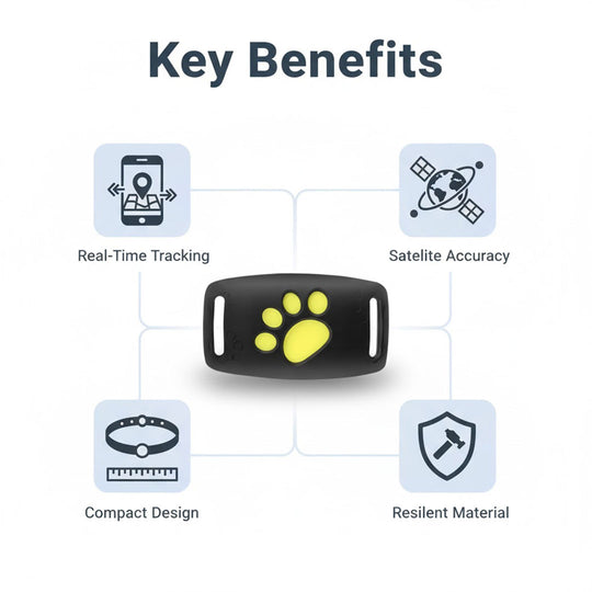 GPS Cat Collar - Real-Time Tracking - Satellite Technology