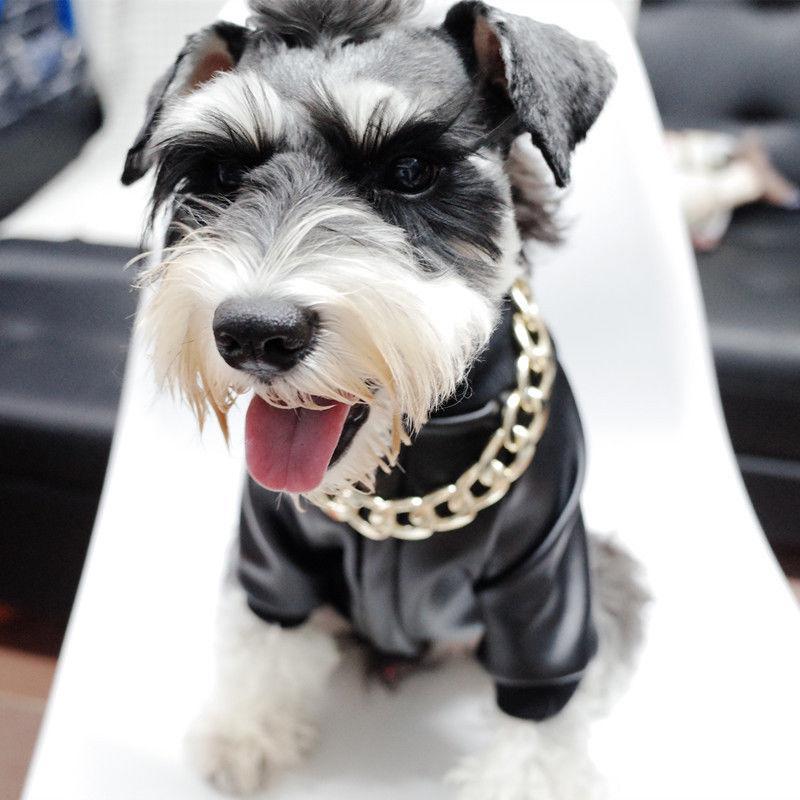 Thick Golden Chain Pet Safety Collar