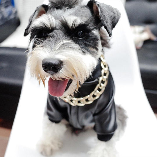 Thick Golden Chain Pet Safety Collar
