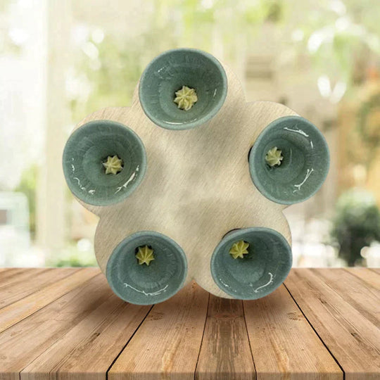 Drinking Cup for Bees and Insects