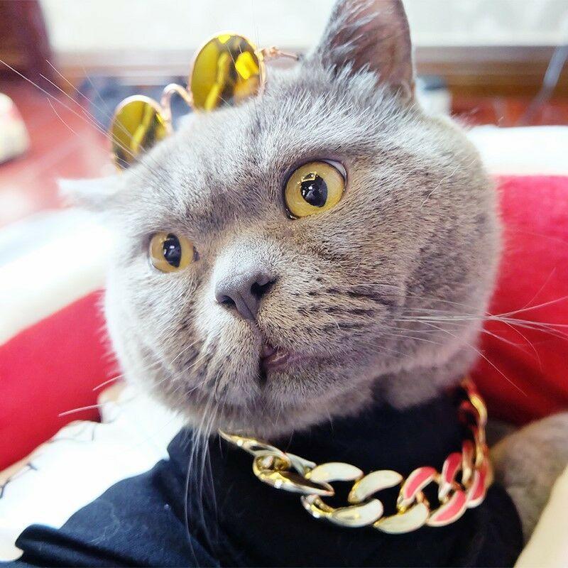 Thick Golden Chain Pet Safety Collar