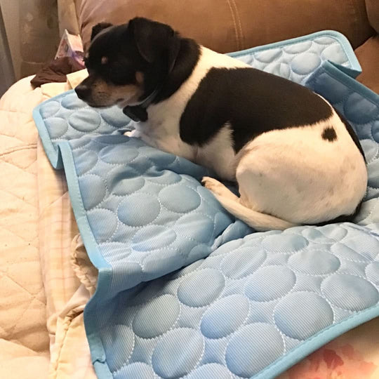 Premium Cooling Mat