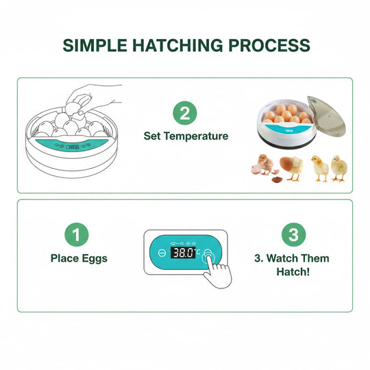 Automatic Egg Incubator - LED Display - Temperature Control