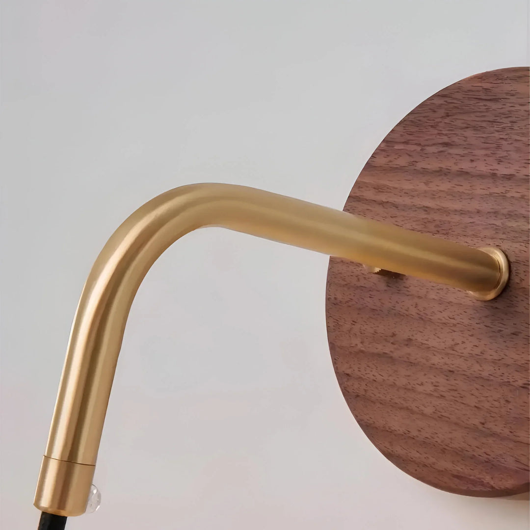 Walnut & Brass Accent Wall Light