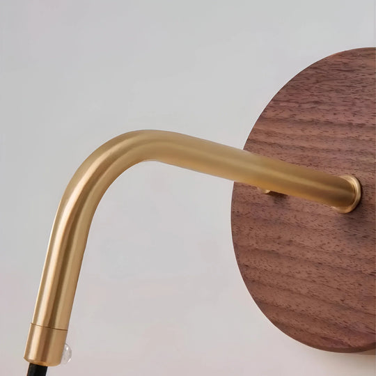 Walnut & Brass Accent Wall Light