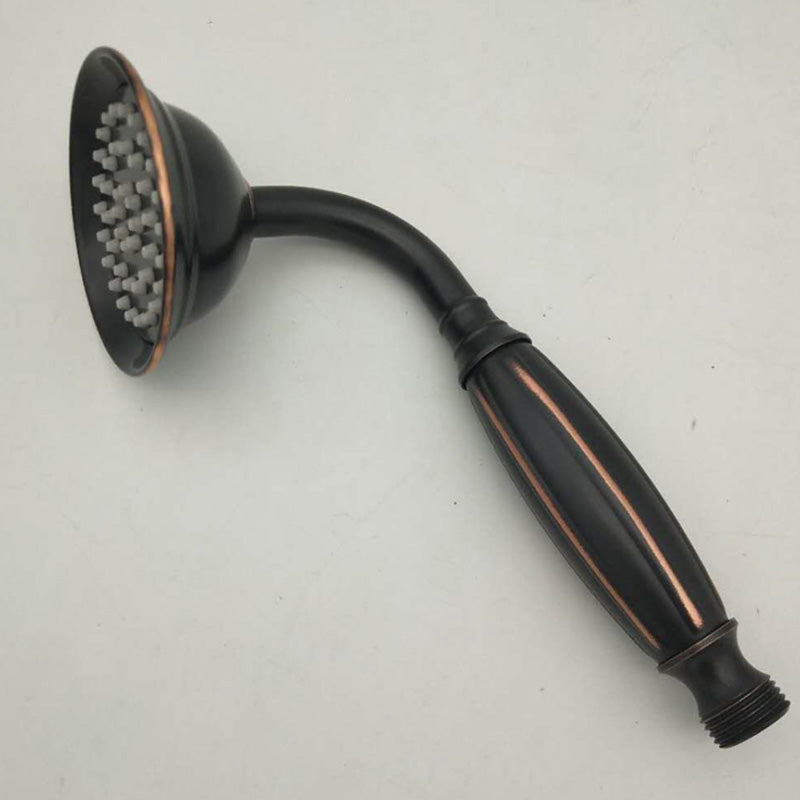 Traditional Handheld Shower Head with Hose - Polished Brass Wall Mounted Design