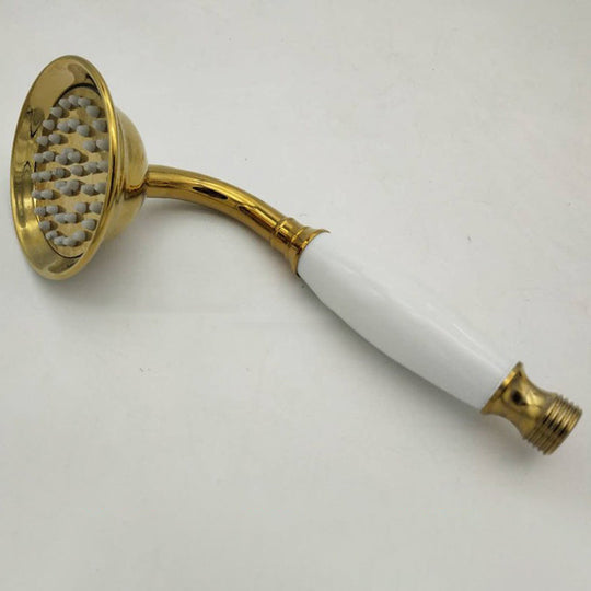 Traditional Handheld Shower Head with Hose - Polished Brass Wall Mounted Design