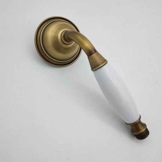 Traditional Handheld Shower Head with Hose - Polished Brass Wall Mounted Design