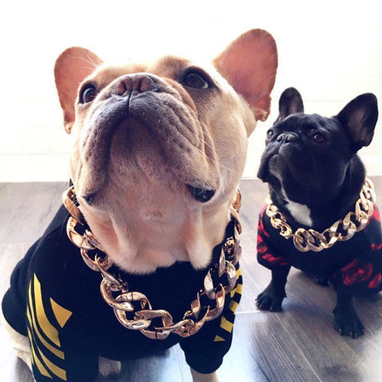 Thick Golden Chain Pet Safety Collar