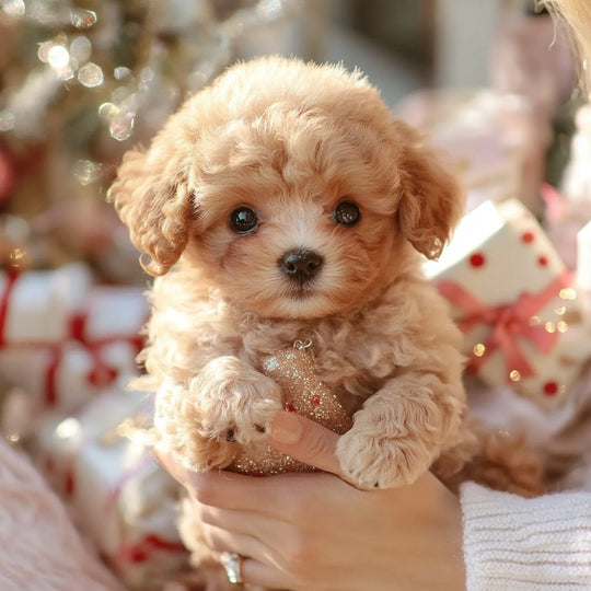 Interactive Plush Dog with Realistic Movements – Perfect for Children & Seniors