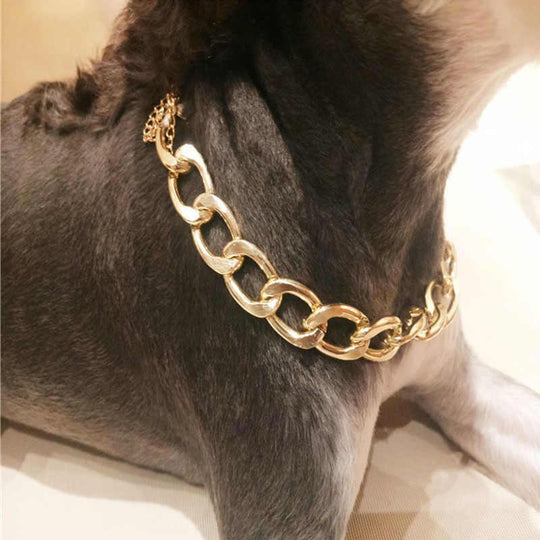 Thick Golden Chain Pet Safety Collar
