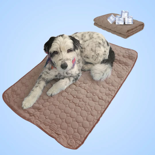 Premium Cooling Mat
