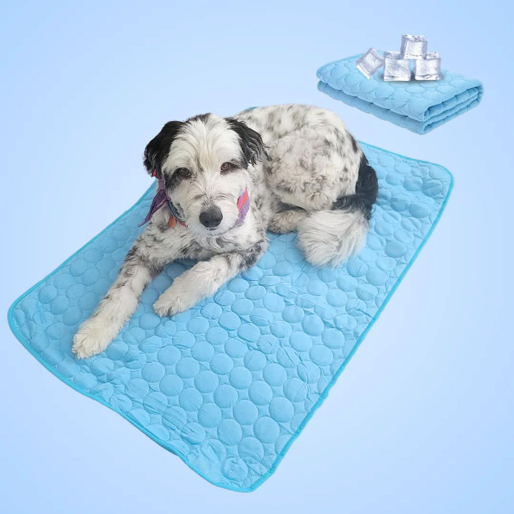 Premium Cooling Mat