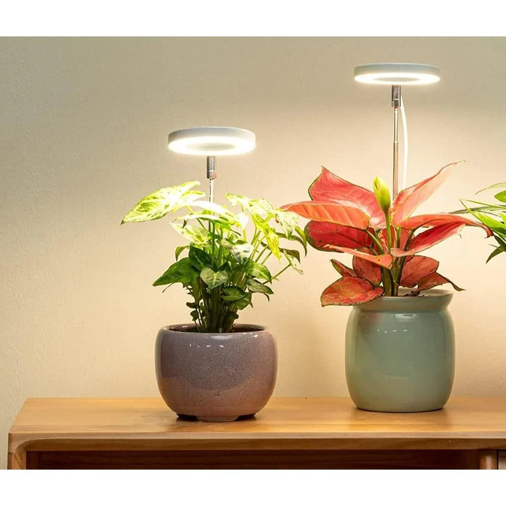 Adjustable Full Spectrum LED Grow Light for Indoor Plants – Customizable Brightness and Height for Optimal Growth 0