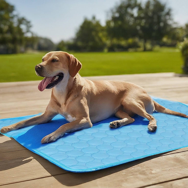 Self-Cooling Mat for Pets - Perfect for Hot Summer Days