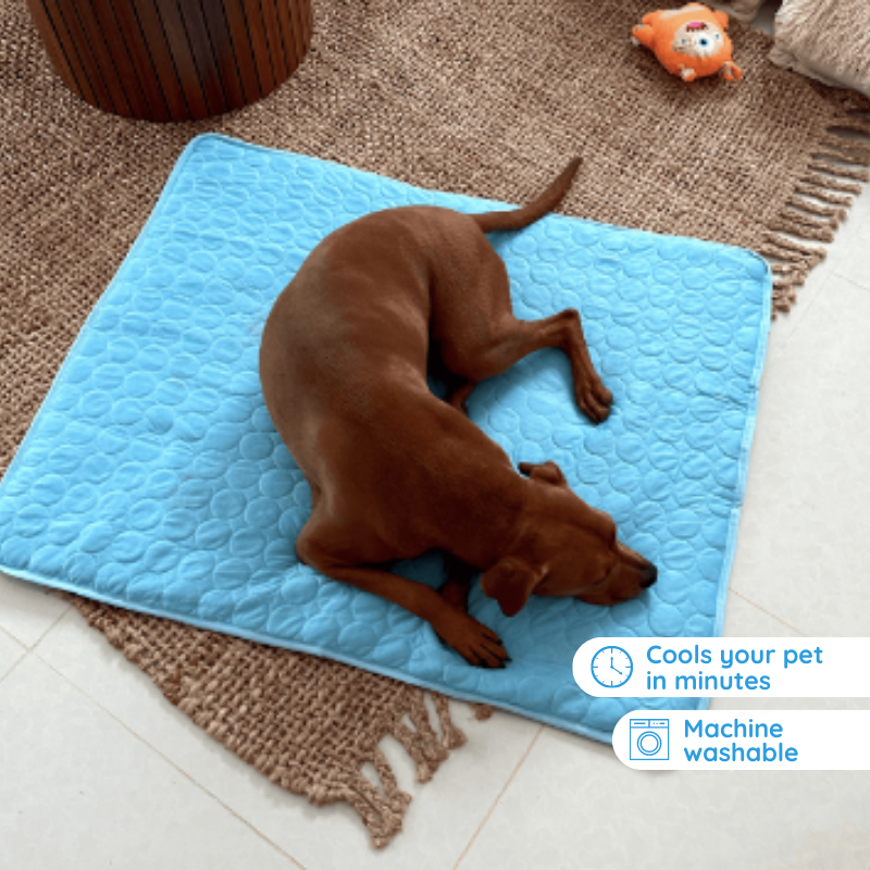 Self-Cooling Mat for Pets - Perfect for Hot Summer Days