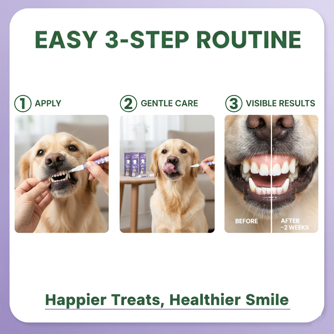 Dog Oral Gel - Dental Care - 3 Pack