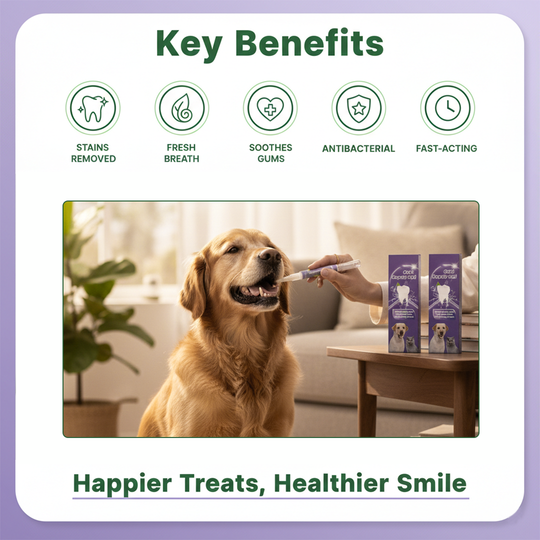 Dog Oral Gel - Dental Care - 3 Pack