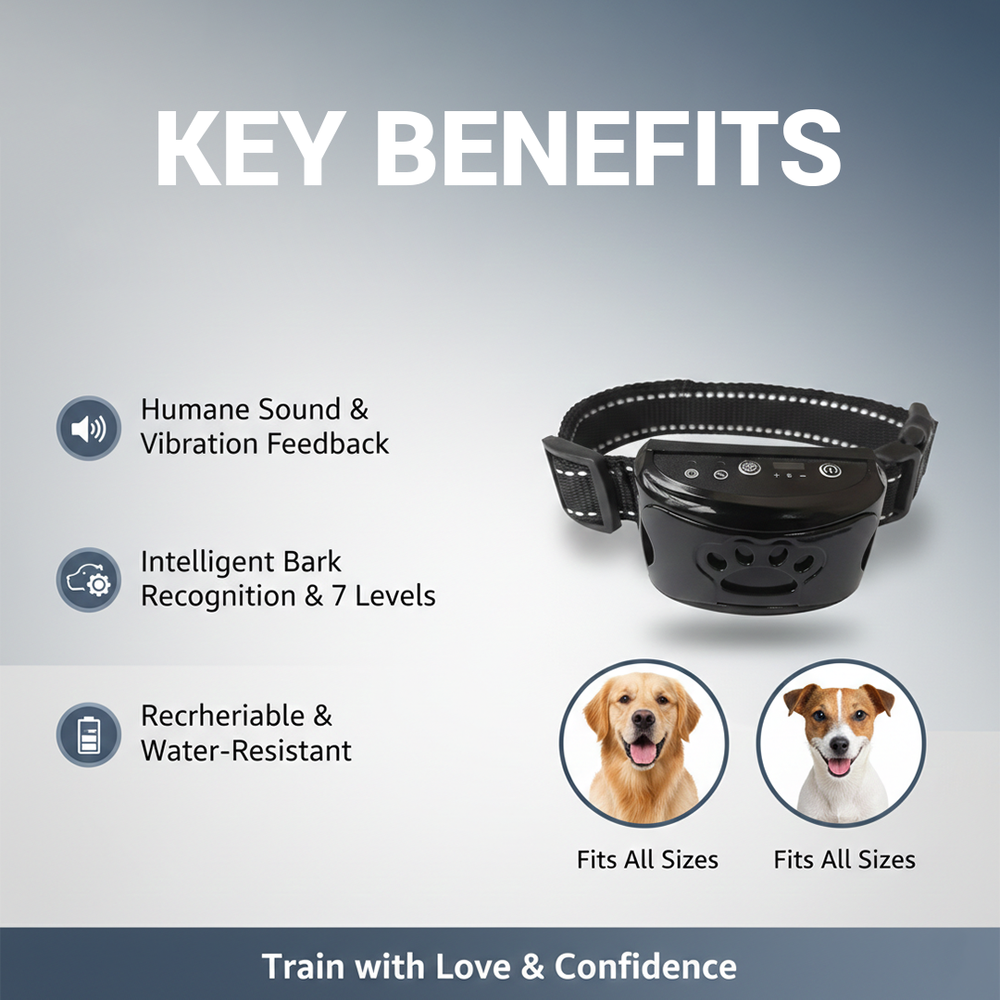 Dog Training Collar - Sound - Vibration Feedback