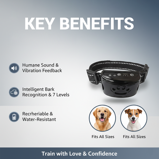 Dog Training Collar - Sound - Vibration Feedback