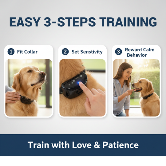 Dog Training Collar - Sound - Vibration Feedback