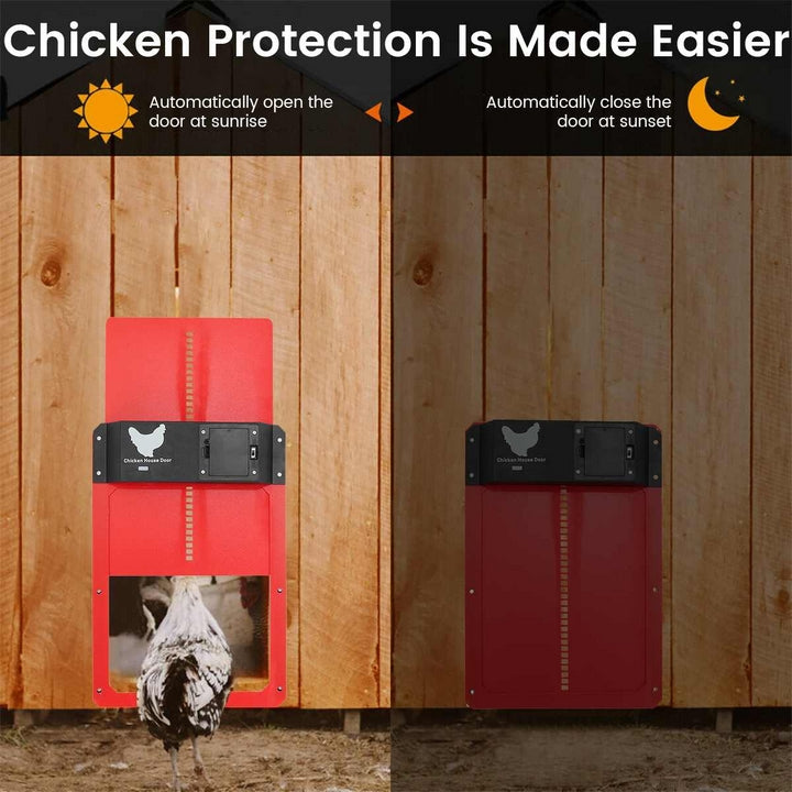 Automatic Chicken Door | Poultry PRO+