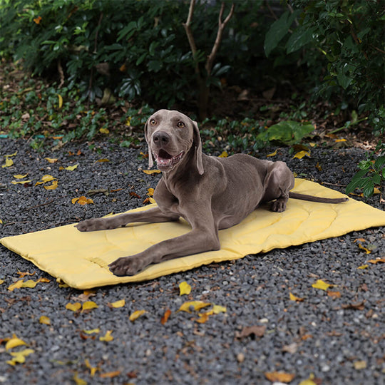 Folding Waterproof Portable Dog Car Seat Mat & Camping Mat