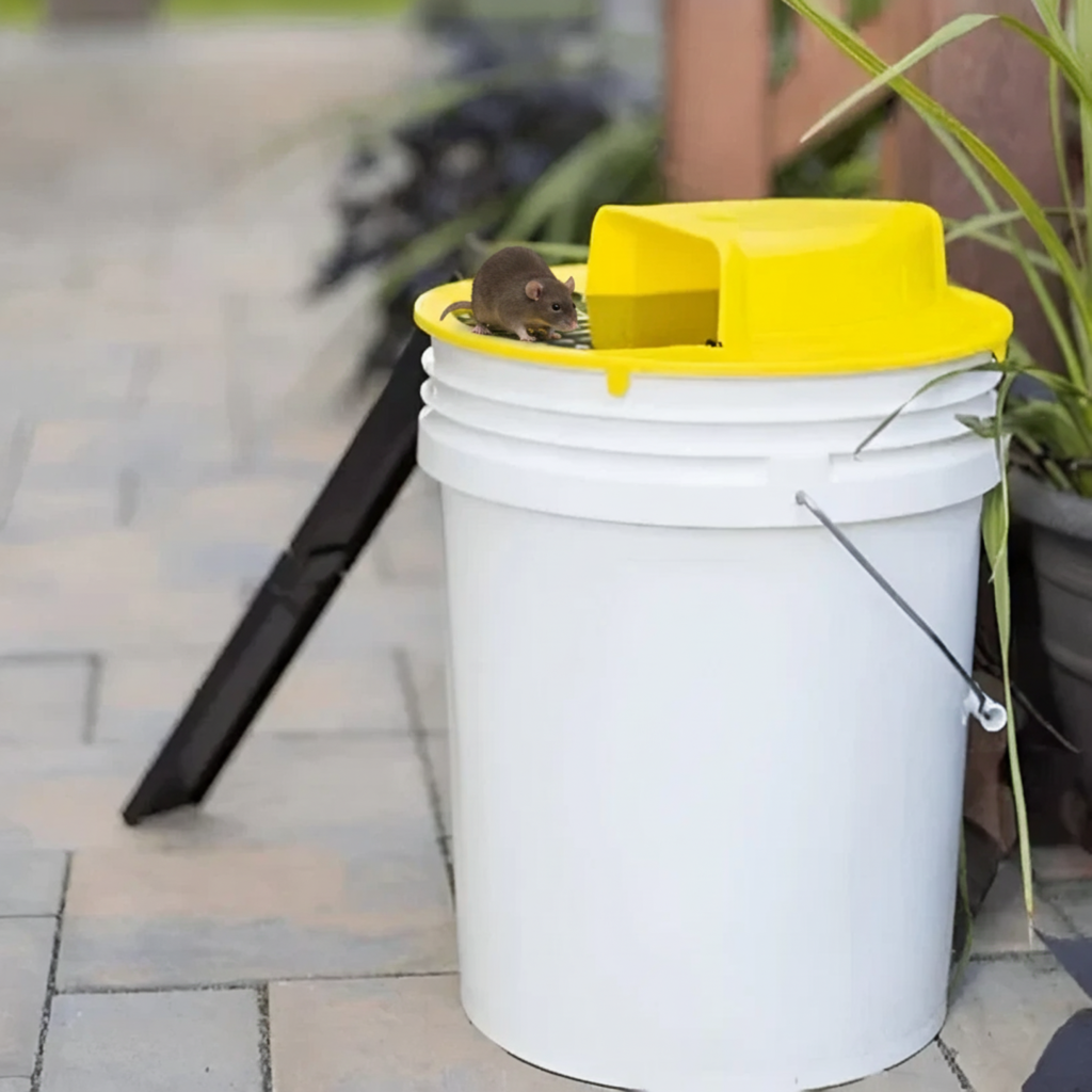 Multi-Catch with Automatic Tilt Function | Safe for Children and Pets