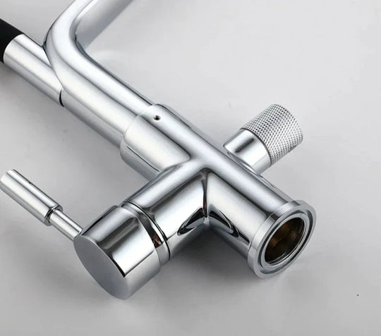 Double Outlet Drinking Water Faucet Filtered Kitchen Taps
