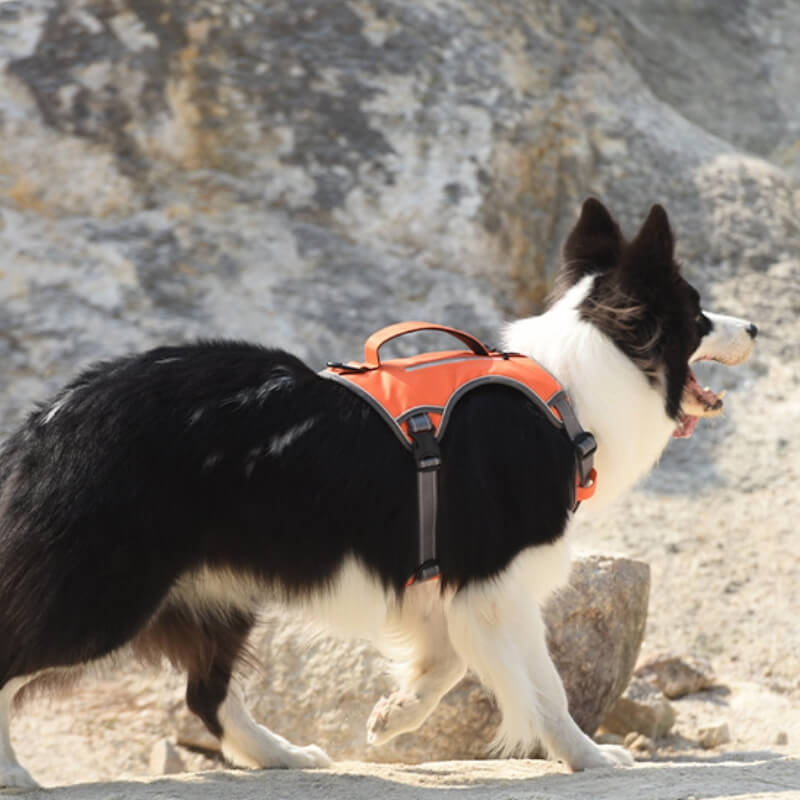 Multifunctional Explosion-Proof Anti-Pull Harness for Medium to Large Dogs