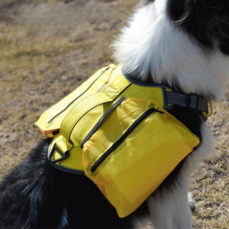 Multifunctional Explosion-Proof Anti-Pull Harness for Medium to Large Dogs