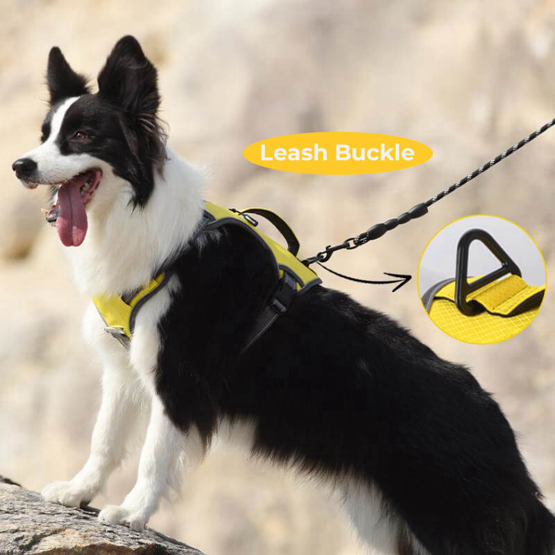 Multifunctional Explosion-Proof Anti-Pull Harness for Medium to Large Dogs