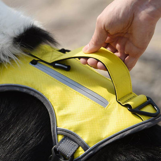 Multifunctional Explosion-Proof Anti-Pull Harness for Medium to Large Dogs