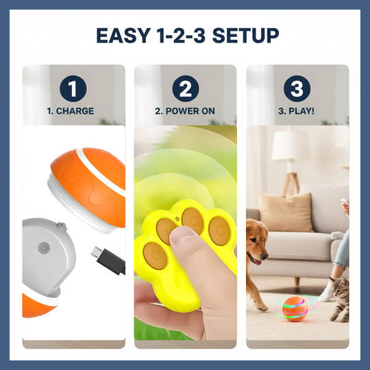 Pet Ball Toy - Interactive - Remote Control