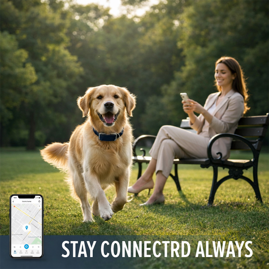 Pet Collar Tracker - GPS Monitoring - Mobile Connectivity