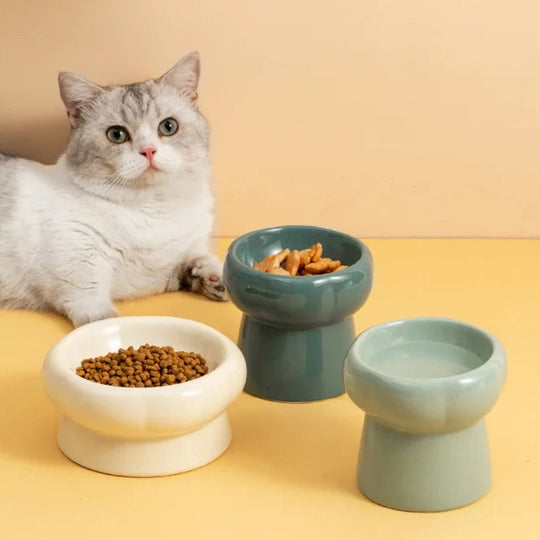 Luna Ceramic Elevated Cat Bowls