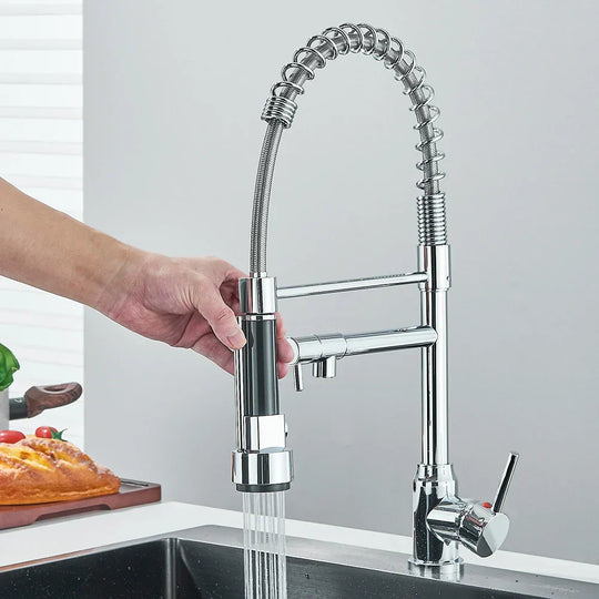 SpringFlow – Kitchen Faucet with Dual Outlet