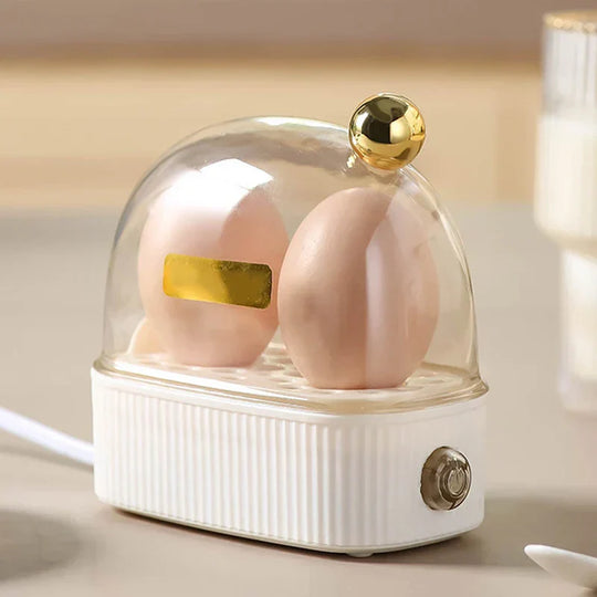 120W 220V Electric Egg Cooker & Poacher - Automatic Mini Breakfast Machine for 2 Eggs, Portable Steamer
