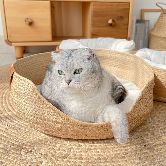 Bamboo Bed Lift