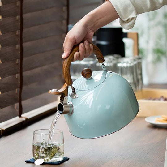 2.5/3 Litre Stainless Steel Kettle - Thickened Design for Gas and Induction Stoves - Universal Use